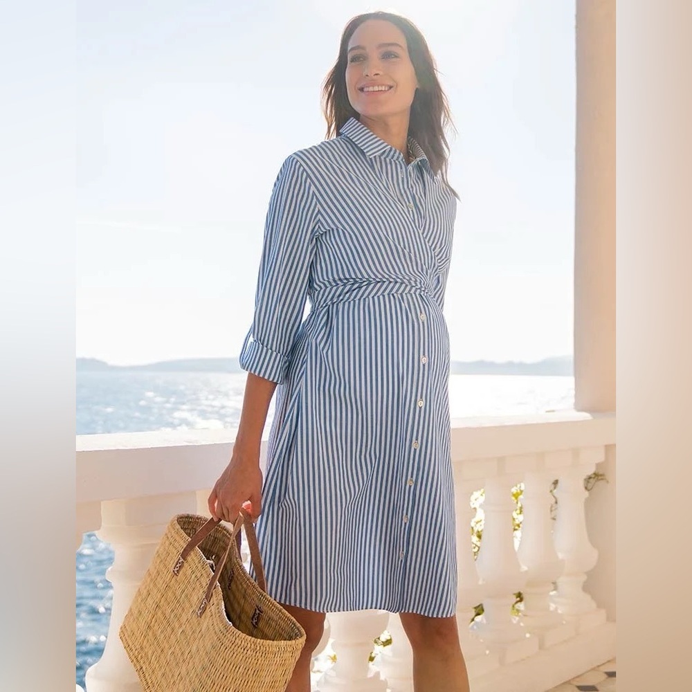 Seraphine Maternity and Nursing Shirt Dress - Blue and White Pinstripe